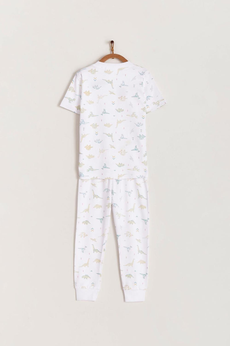 Babycottons Dino Origami Snug Tee & Pants Pajama Set